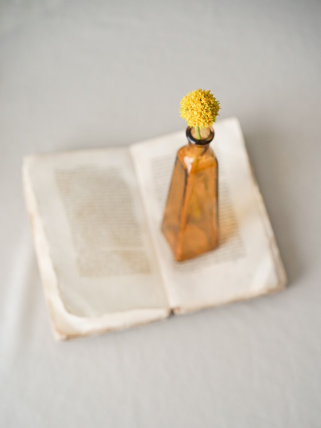 〈即納アイテム〉花びんと選べるお花セット D