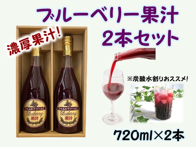 【ギフト】ブルーベリー果汁２本セット