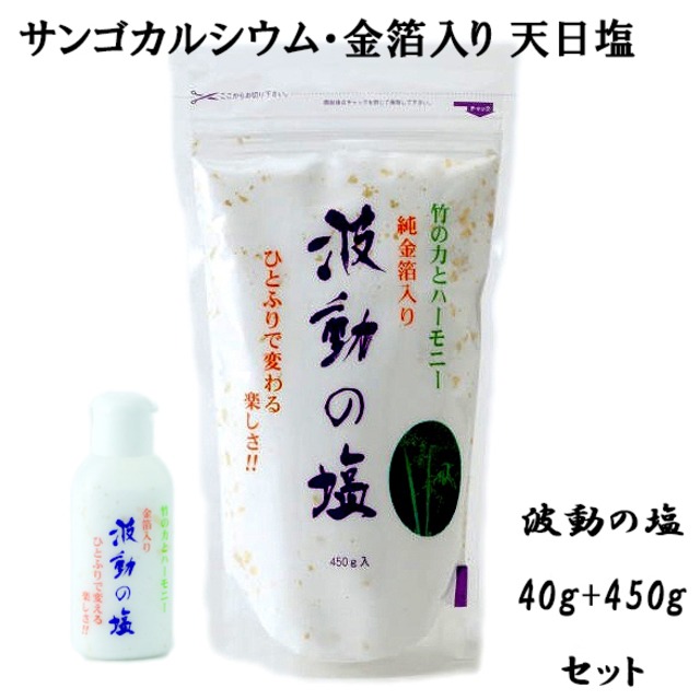 天日塩 食用塩 波動の塩 40g + 450g セット 波動法製造 純金箔入り エナジーソルト お清め