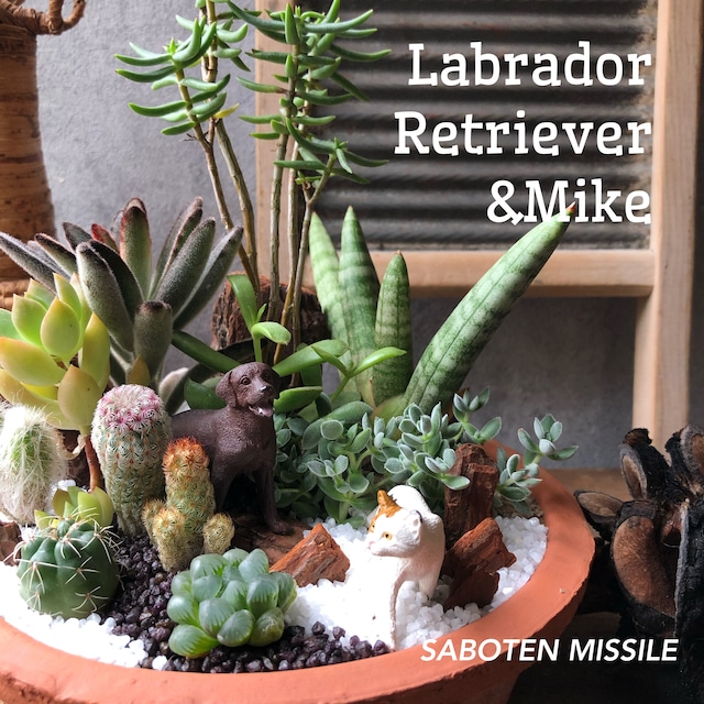 Labrador retriever & MIKE