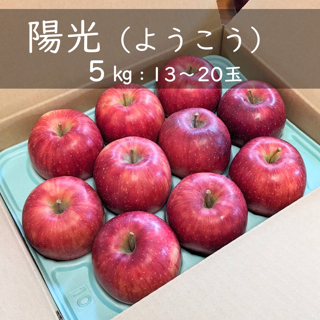 りんご【陽光】約5㎏（13～20玉）　フルーツガーデン北沢／マルカメ醸造所