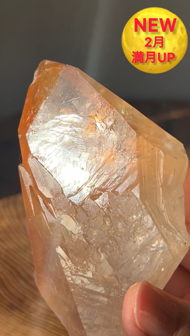 【未来から】ドッグトゥースカルサイト オレンジ エルムウッド産 161g