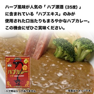 うちな〜レトルト3種セット
