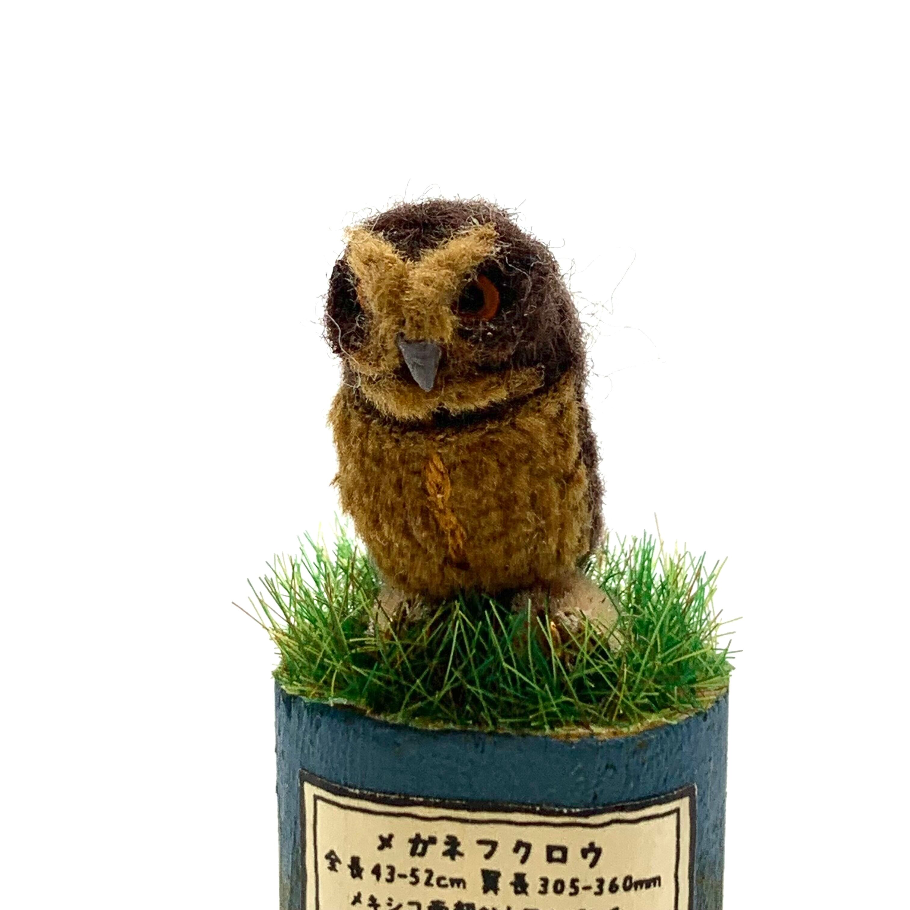 フジタサンプル ふくろうずかん メガネフクロウ How House フジタサンプル ふくろうずかん メガネフクロウ How House