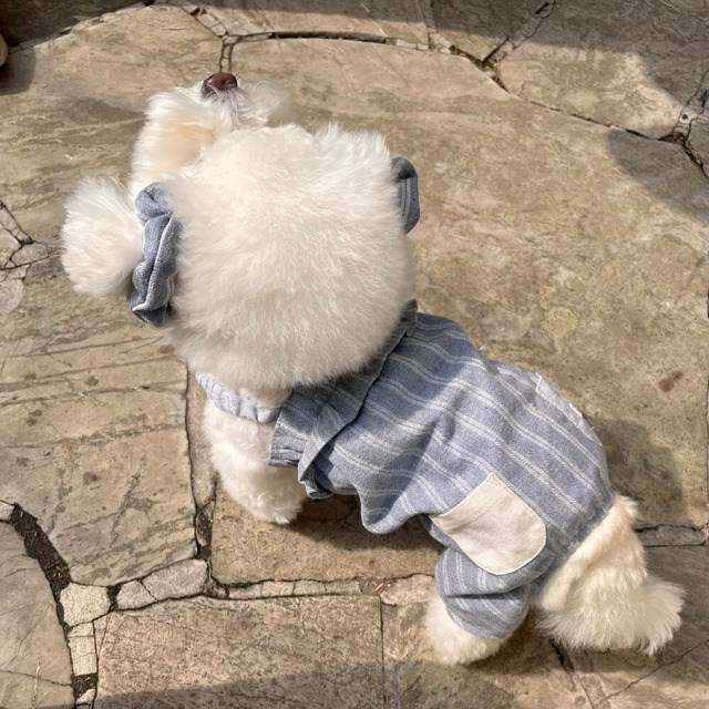 【予約】[Hi yeboo] romper / Lona Collection (blue stripe)