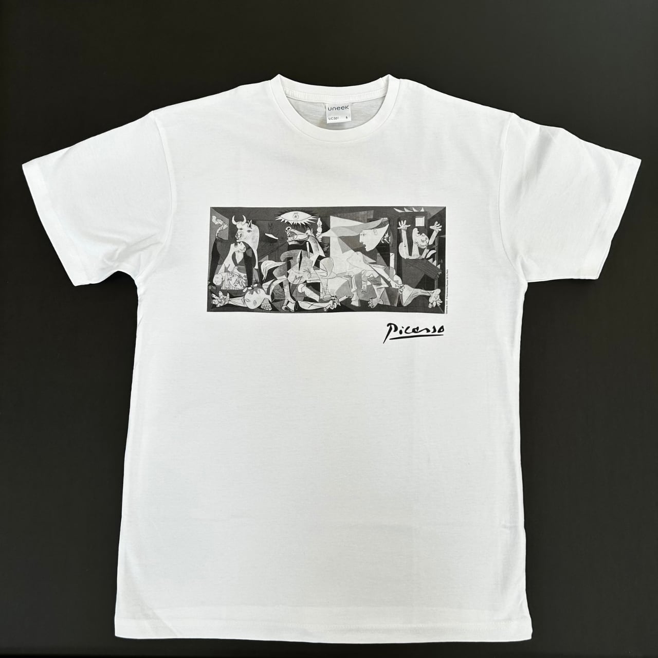 Pablo Picasso #240006