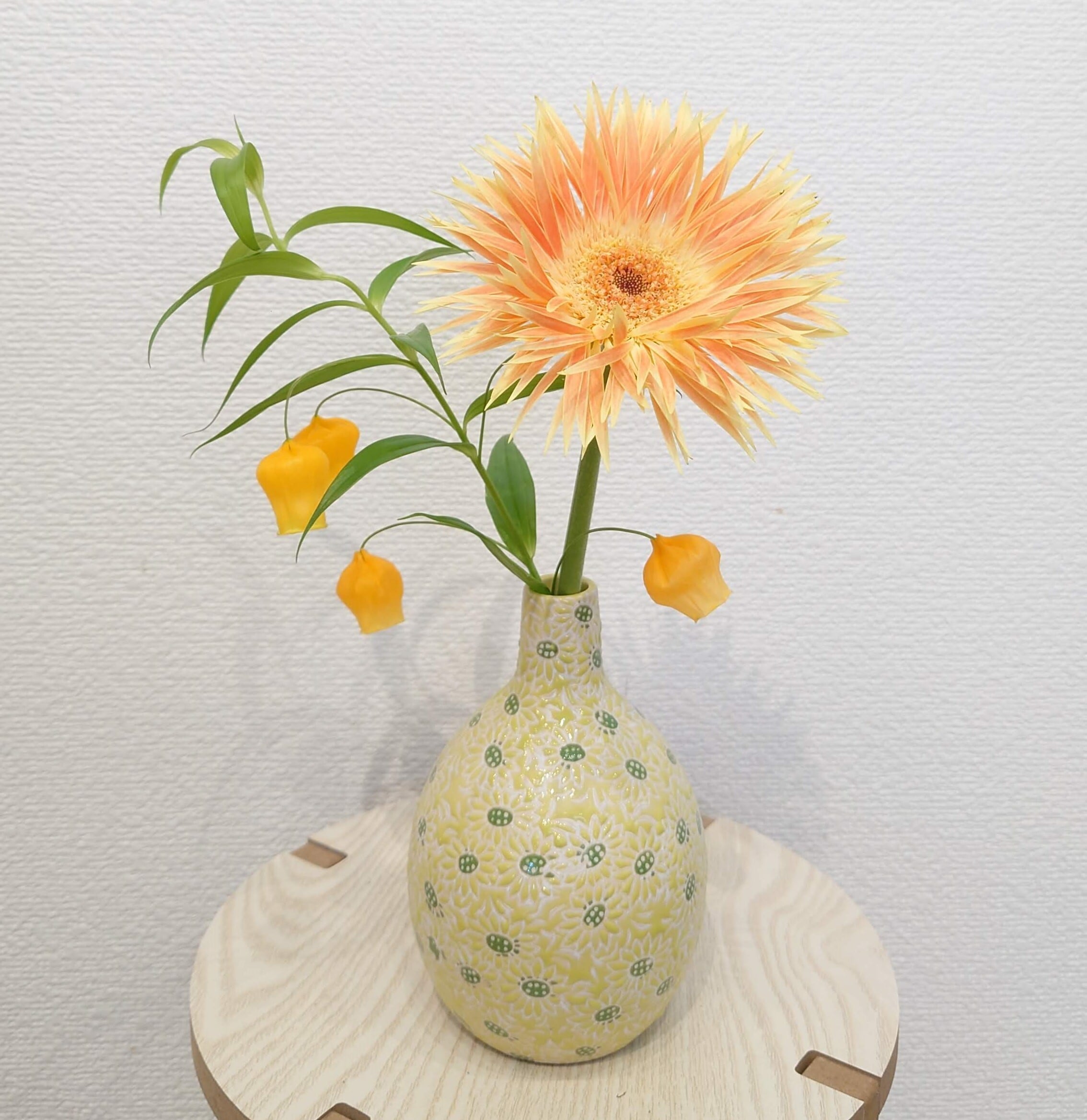 花瓶・ひょうたん型 | PLANTSHUSET