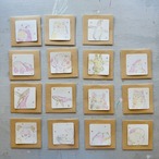 -7×7の世界-第二弾