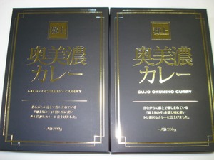 郡上奥美濃カレー・２ケ（一人前２００ｇ×２）・送料無料