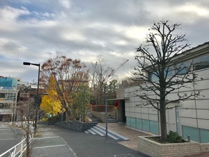 ひまわりガーデン代官山坂から見下ろす代官山通り