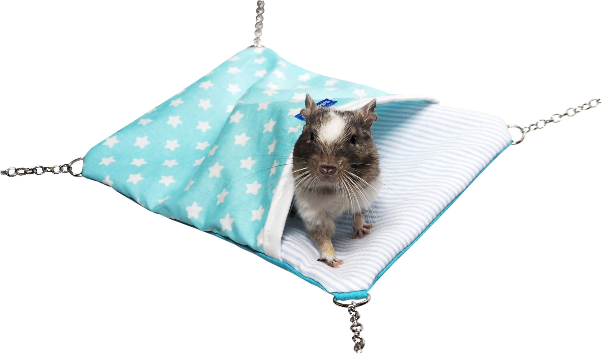 【小動物用品】さわやかちびモック　ブルー