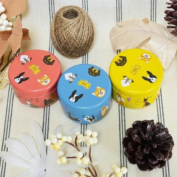 はる様 おまとめページ ★ダイナソー缶★選べる4パターン 取り寄せ ダイナソー 図鑑缶 | pxstore