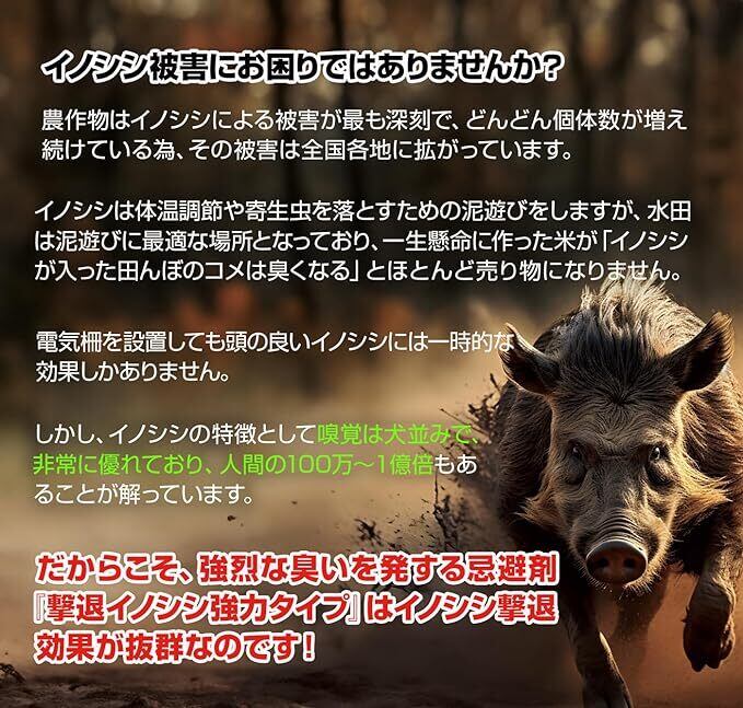 撃退イノシシ強力タイプ50個入 忌避剤を2倍に増量した激臭