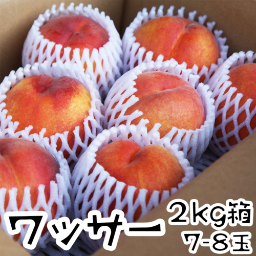 朝もぎ！ワッサー（白桃×ネクタリン）２kg箱