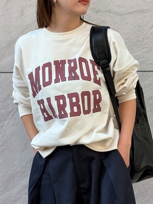 ひび割れカレッジロゴptBigプルオーバー　256635