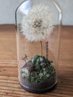 大きな綿毛と小さな家