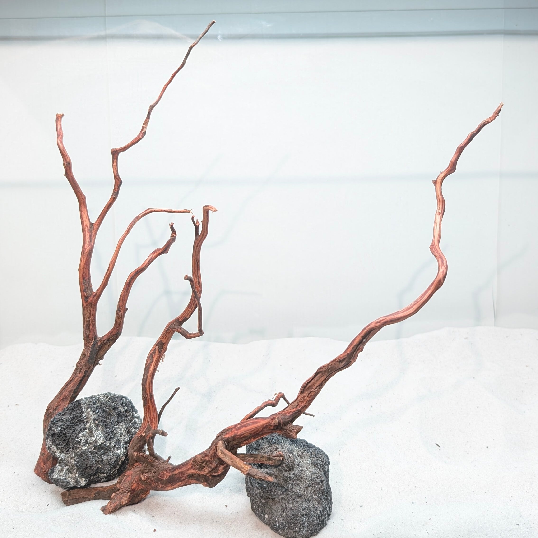 30cm水槽向け | ペットの流木 水宗工房