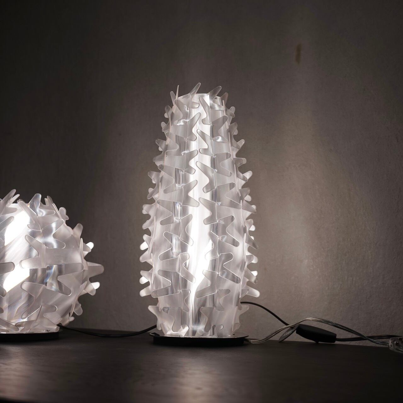 未使用品 SLAMP スランプ CACTUS PRISMA カクタス プリズマ 2点セット