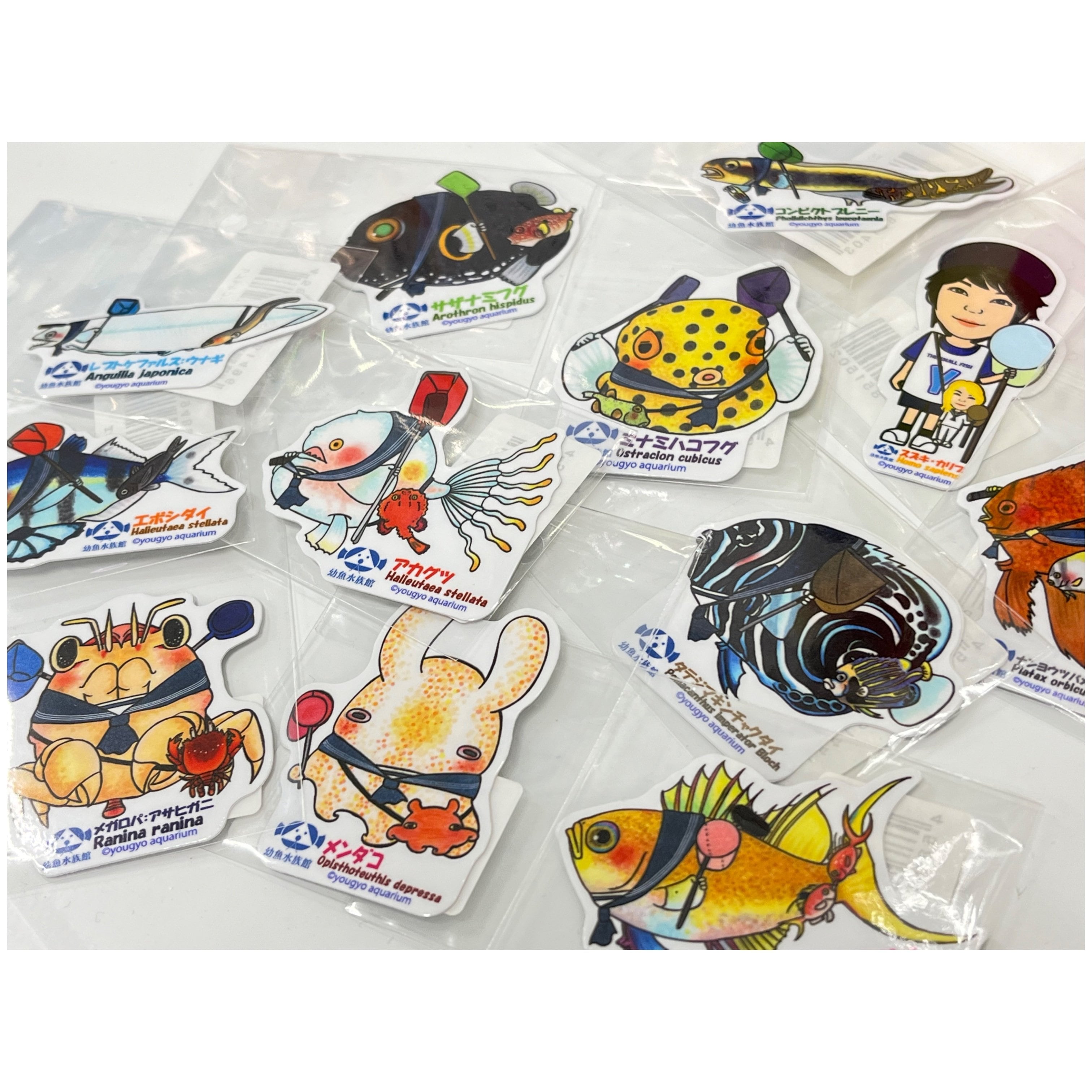 柳葉魚グッズ f0830a2043a1c8cd50cc48dc11e01f