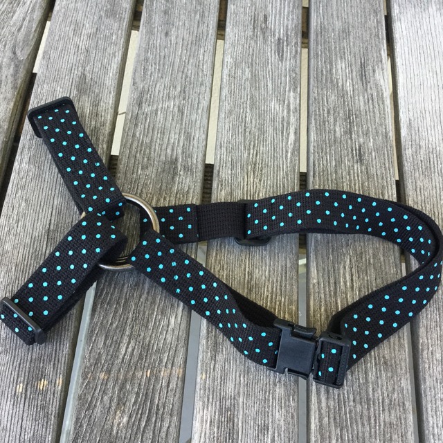 マズルハーネス(大)ブラック水玉