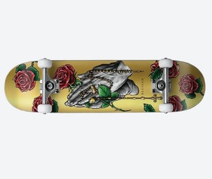 DGK ディージーケー HC-1048COMP8.25 Blessed Complete Skateboard　8.25インチ スケボー