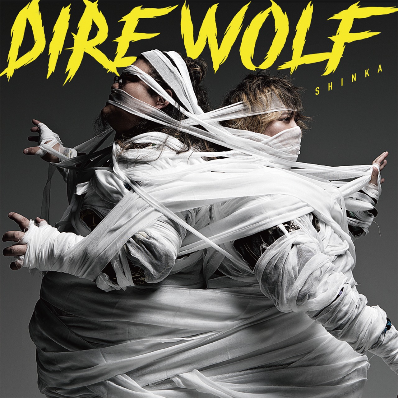 Dire Wolf　メジャーデビューアルバム『SHINKA』