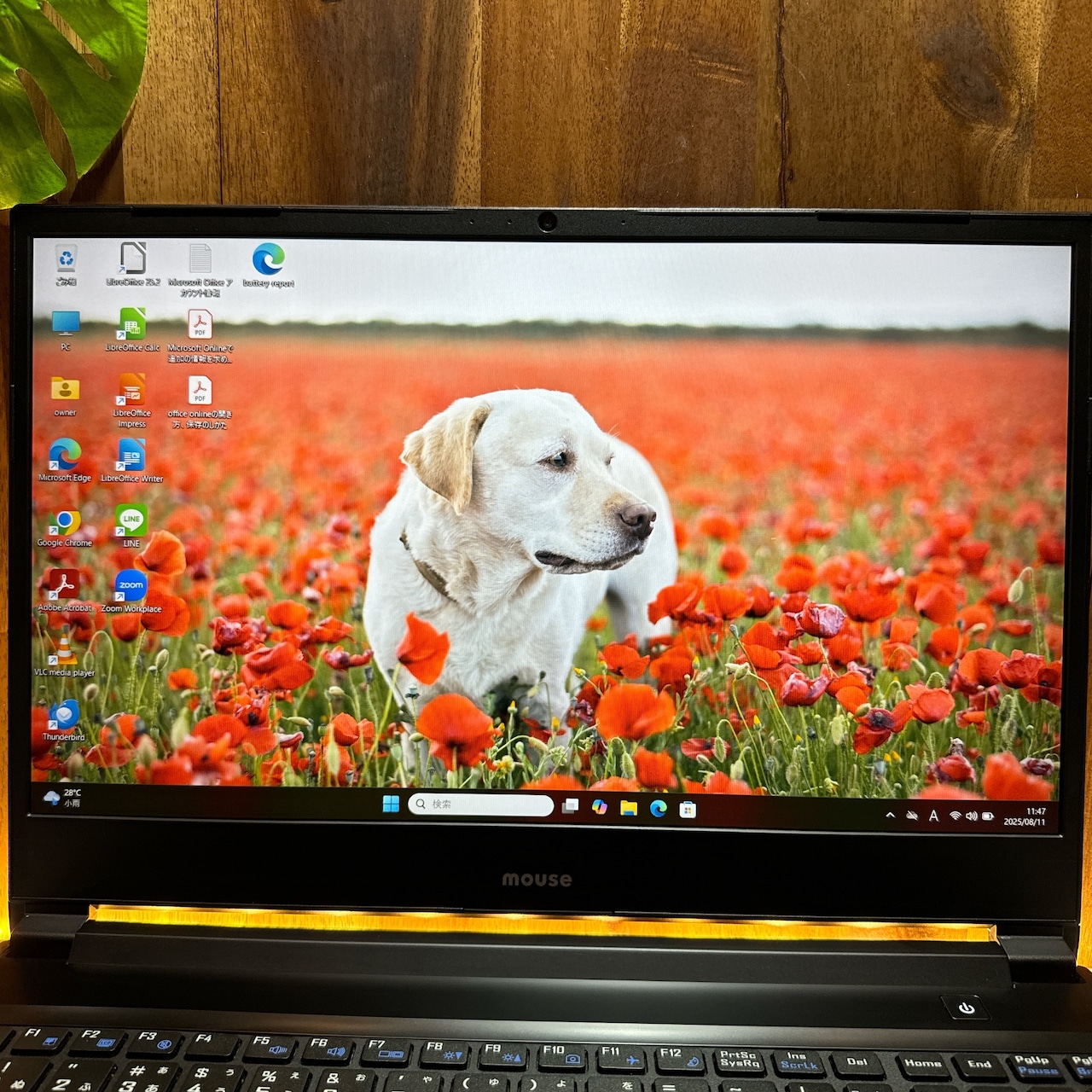 『準美品 NVIDIAグラボ搭載』Mouse Core i7第9世代 メモリ32GB SSD256GB ノートパソコン