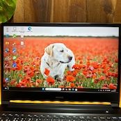 『準美品 NVIDIAグラボ搭載』Mouse Core i7第9世代 メモリ32GB SSD256GB ノートパソコン