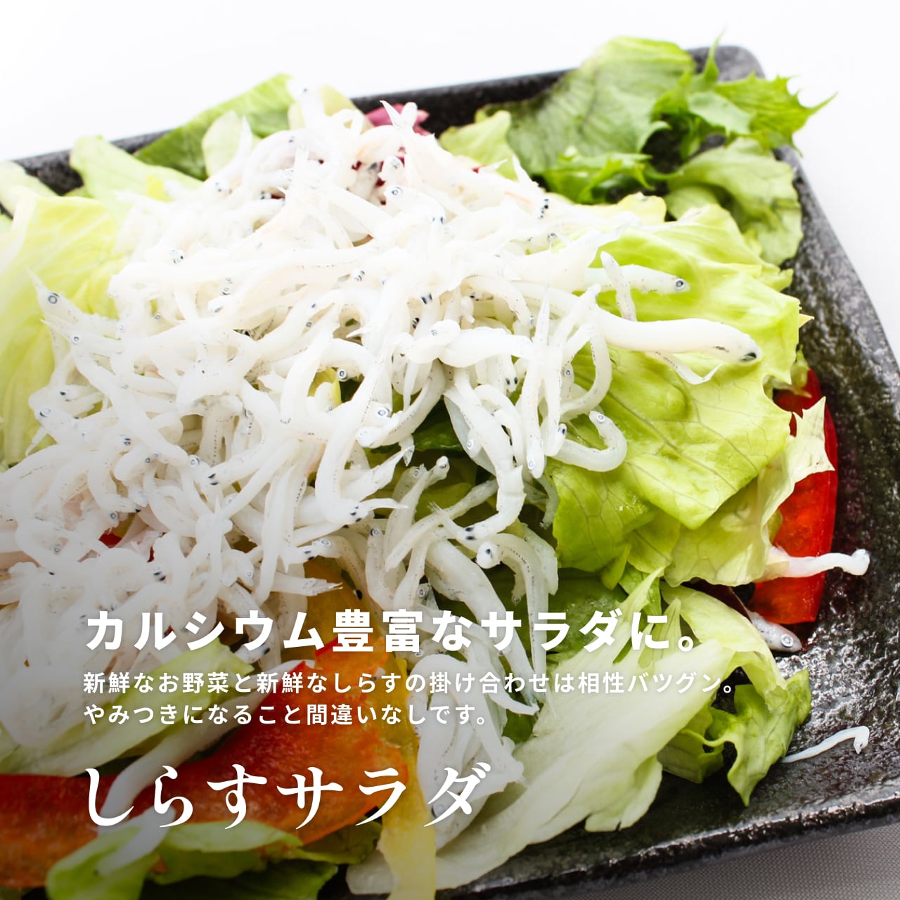 急速冷凍】冷凍釜揚げしらす 250g | 静岡県駿河湾の用宗しらすの通販