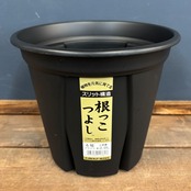 根っこつよし 6号 ﾌﾞﾗｯｸ