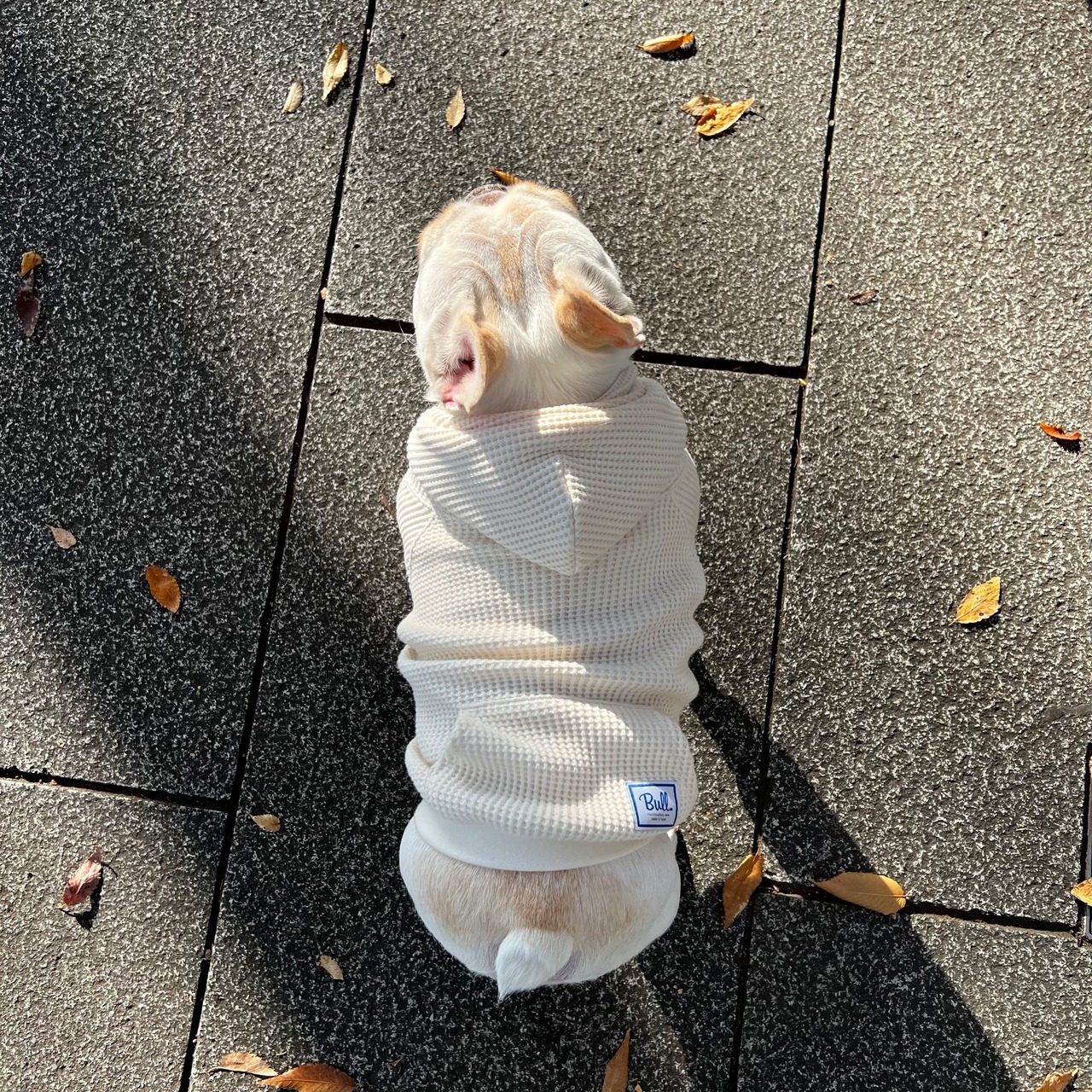 ワッフルパーカー アイボリー - 4