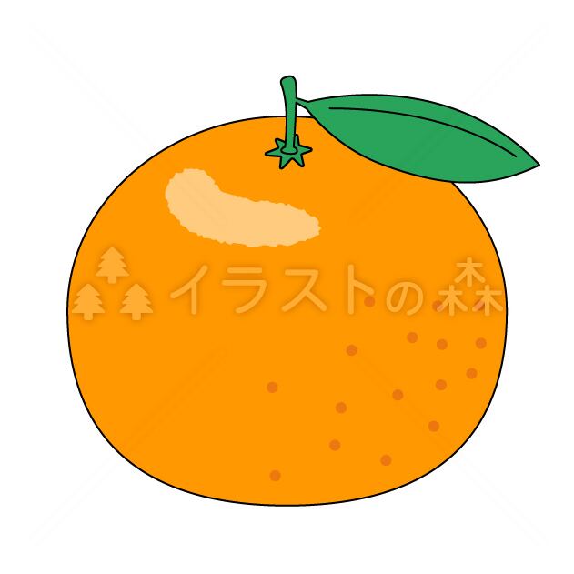 みかん・オレンジのイラスト | いらもり（有料EPSデータ）