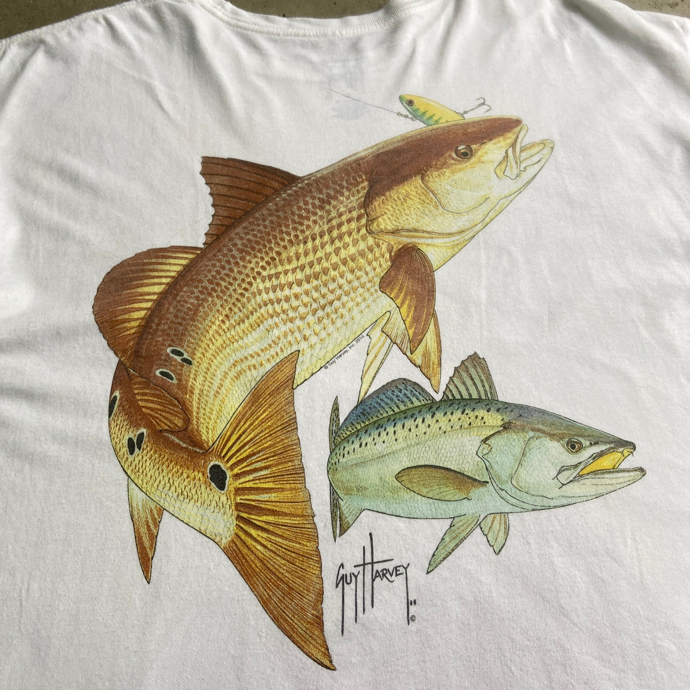 古着 ビンテージ Guy Harvey ターコイズ Tシャツ 海 鯨 魚 美品｜メンズ 