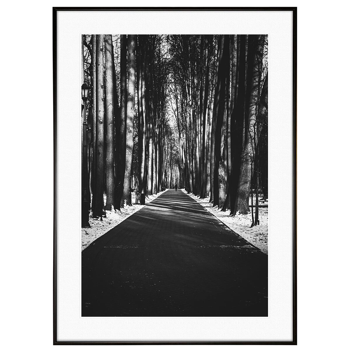 冬写真 インテリア モノクロアートポスター額装 AS0985