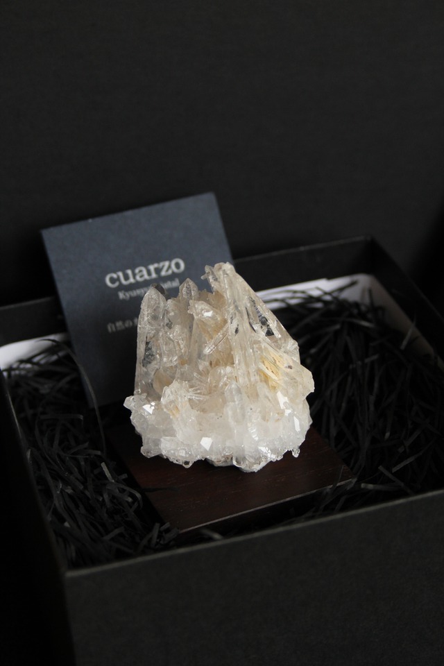 【141】宮崎クリスタル ローズウッドスクエア50