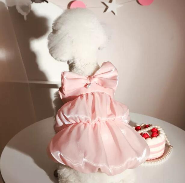 《予約》3101400 ピンクドロシードレス