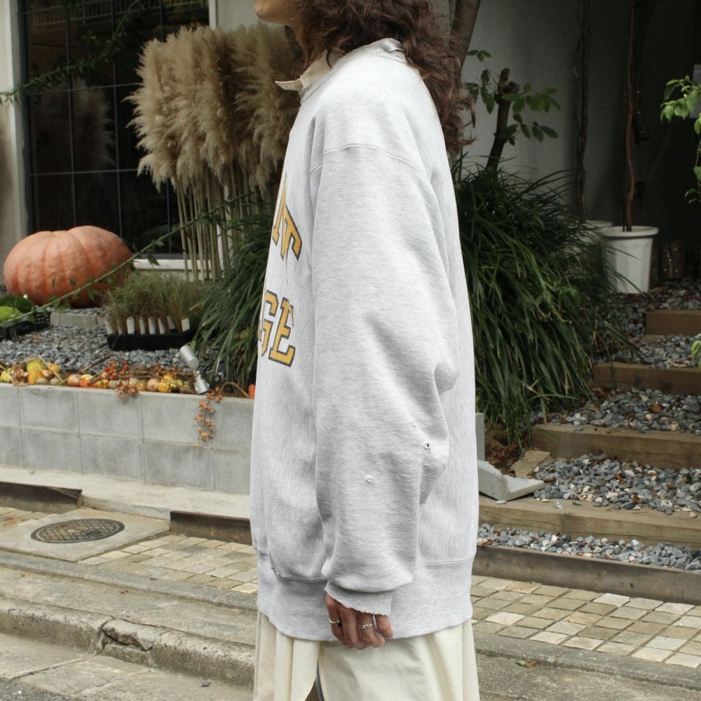 Champion Reverse Weave Vintage Sweatshirt [Champion] [1990s-] High