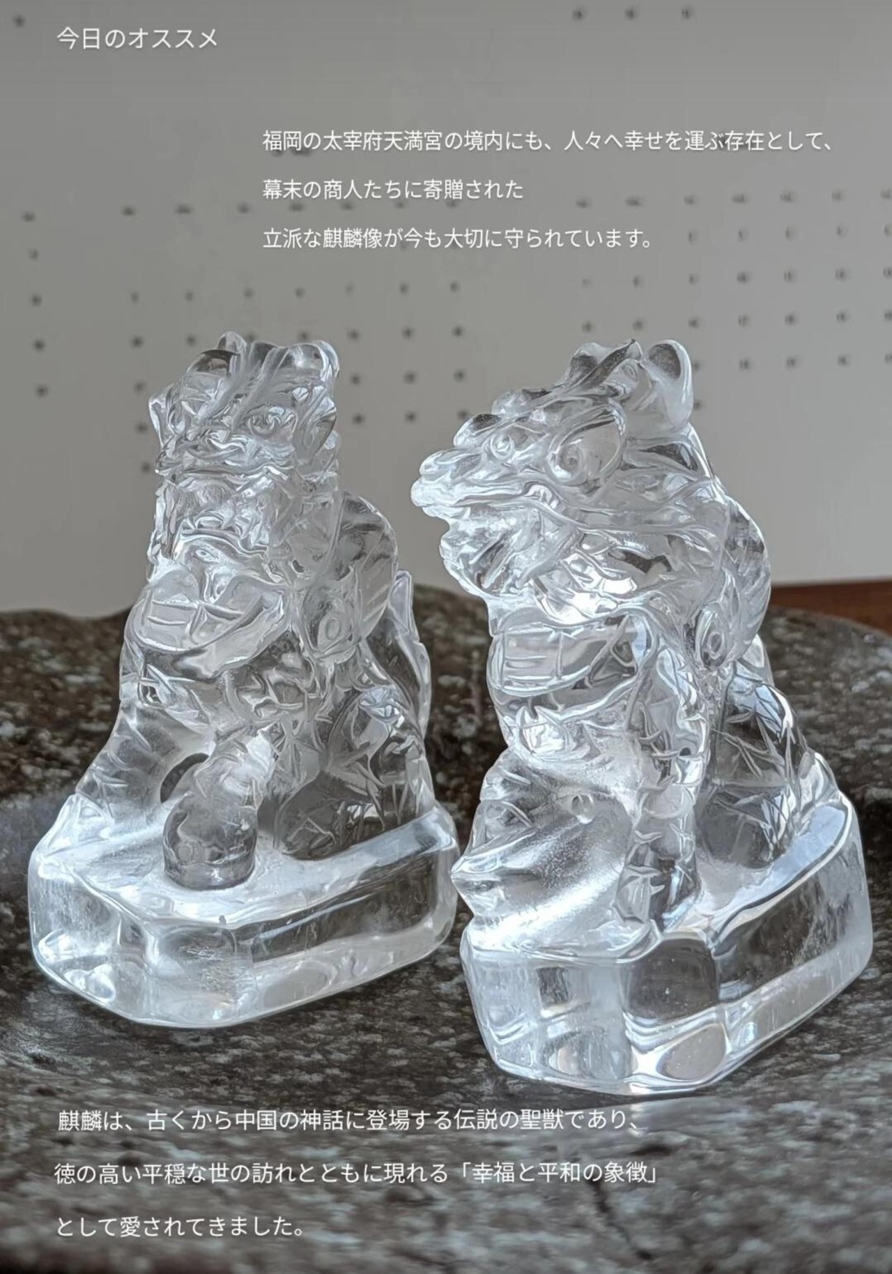 ⭔ お客様専用ページ ✦swan.195402