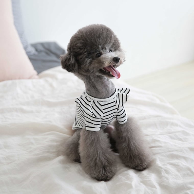 willy stripe t-shirt S ~ XL 2color / 犬服 フリル ボーダー Tシャツ ブラウス ドッグウェア シンプル トップス お出かけ ストライプ 長袖