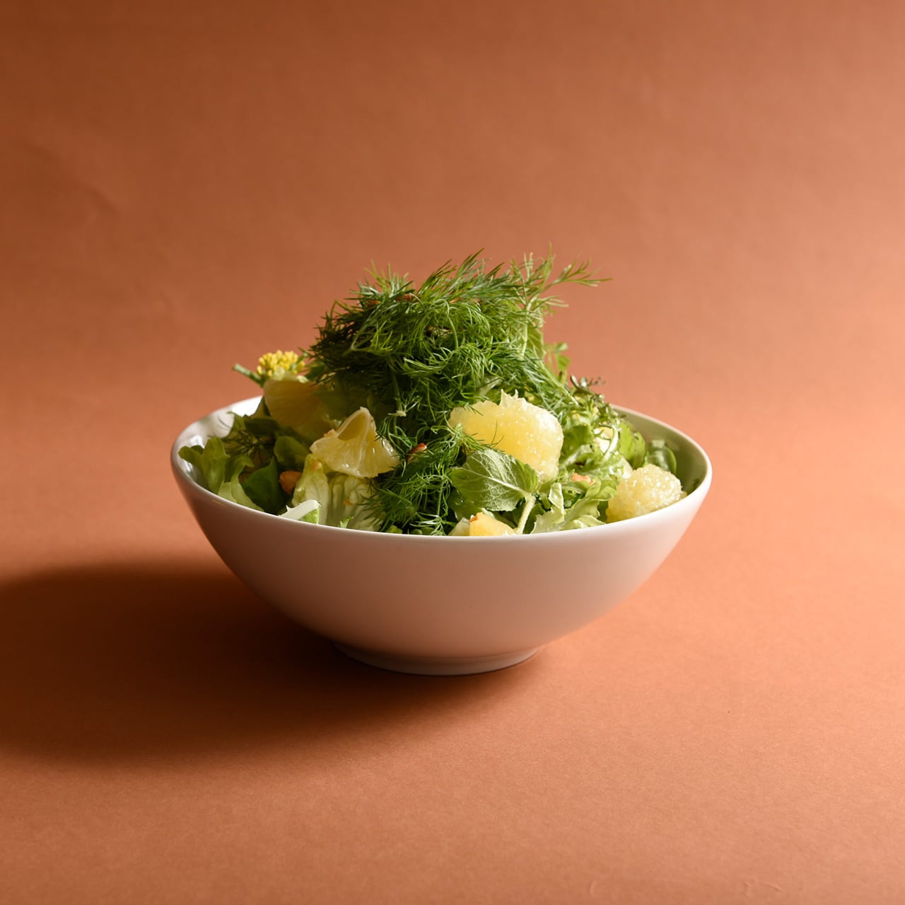 サタルニア シビリア ボウル ラージ | ザッカワークスオンラインショップ