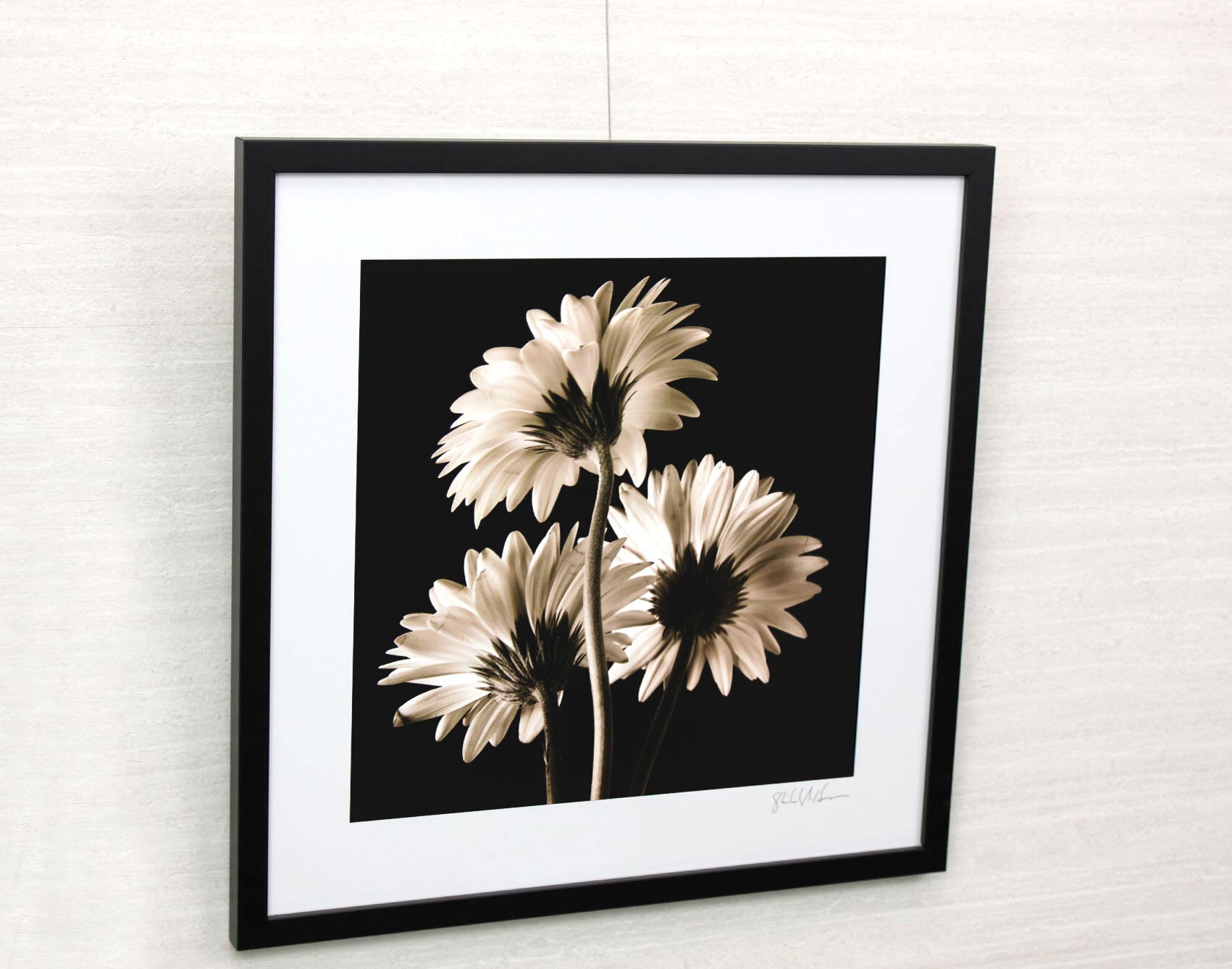 スターバックスモノクロ写真風額縁・インテリア 【公式通販】