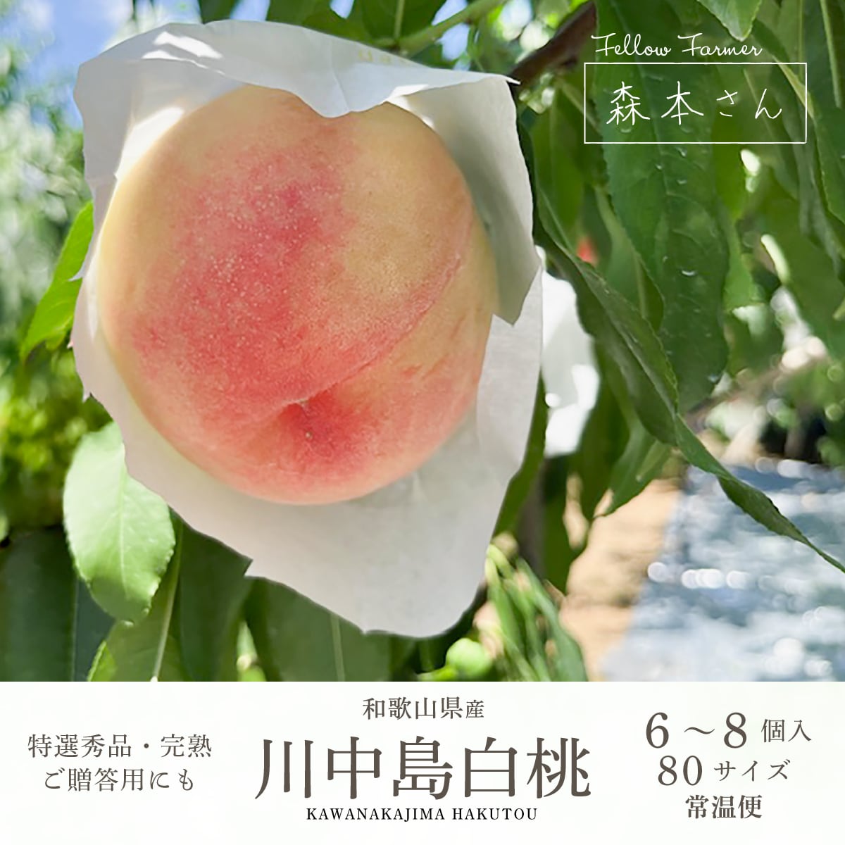 季節のフルーツ | きよ農園 | 和歌山県より旬の果物を産直でお届けします