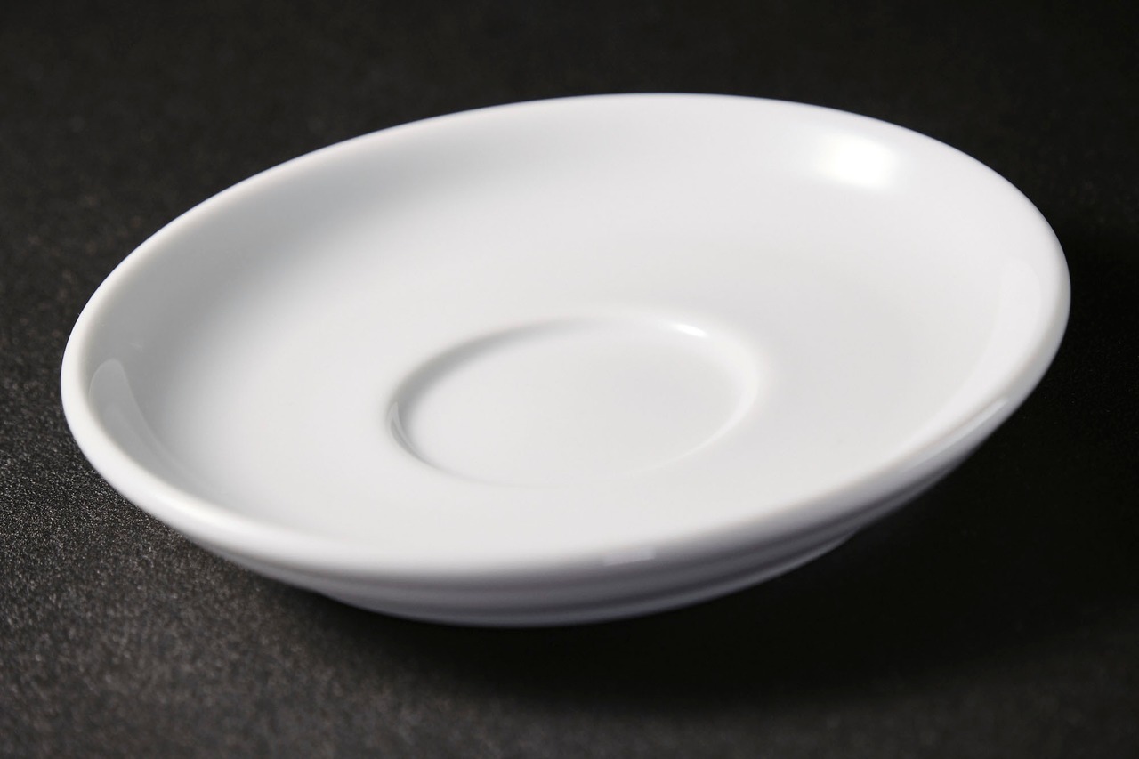 Vista Alegre エストリル ティーソーサー φ14.9×H2.4cm