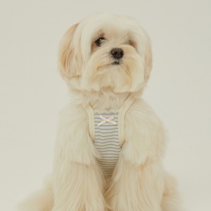 【予約】[ thesallyslaw ] Bunny Top｜Blue Milk Stripe