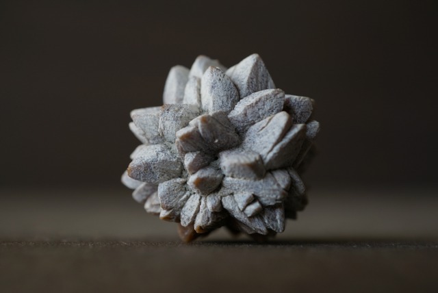 ロシア産グレンドナイト(カルサイト/イカイト仮晶) Glendonite 1833