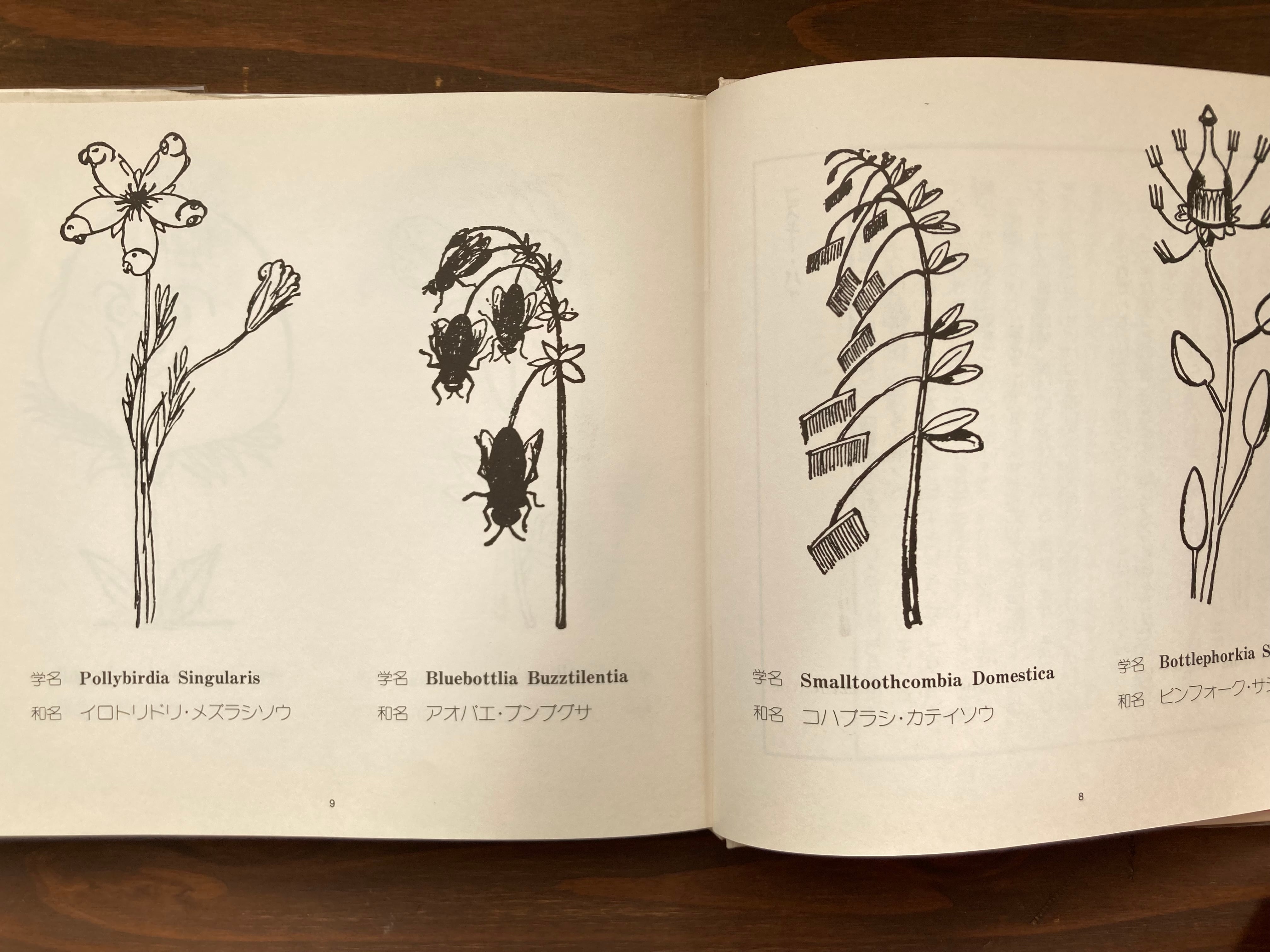 ノンセンスの絵本3 エドワード・リア | 風文庫 kazebunko