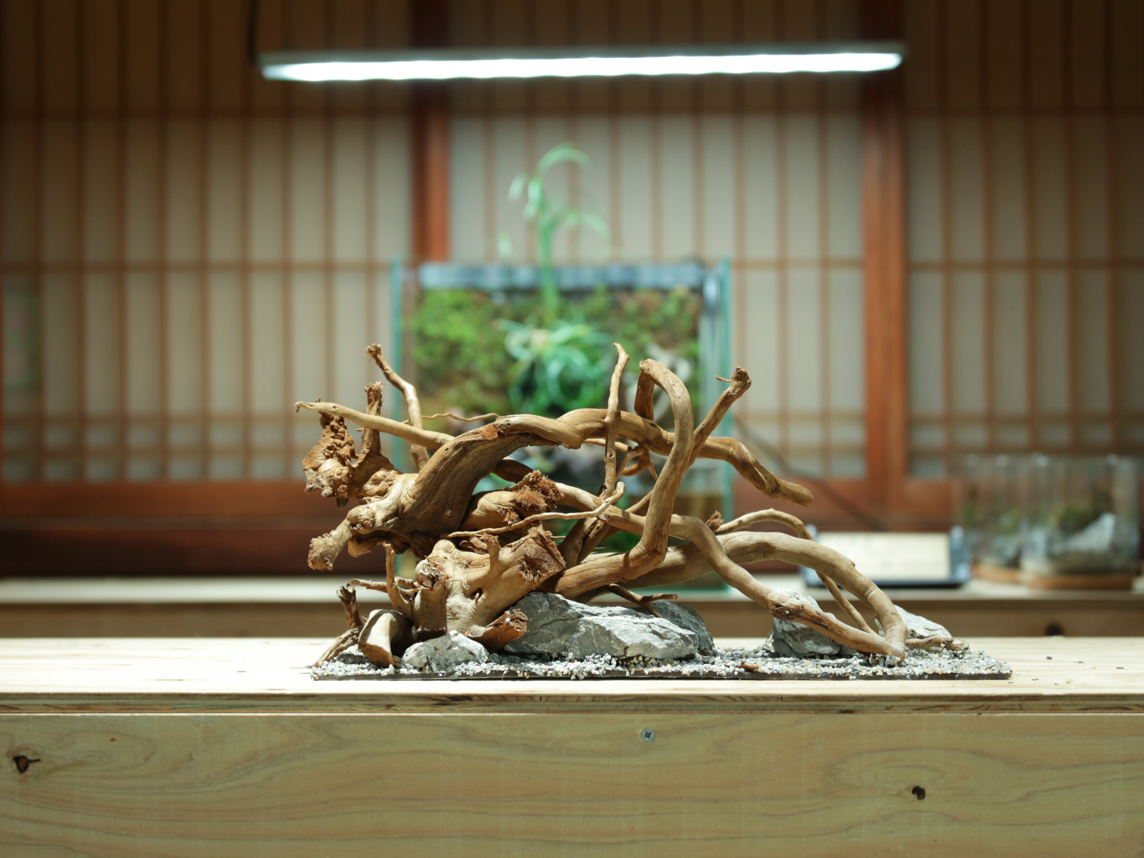Biorium専用 レイアウトベース 太流木セット Biorium専用アクアリウムレイアウトベース スタンダードプラン | 水槽