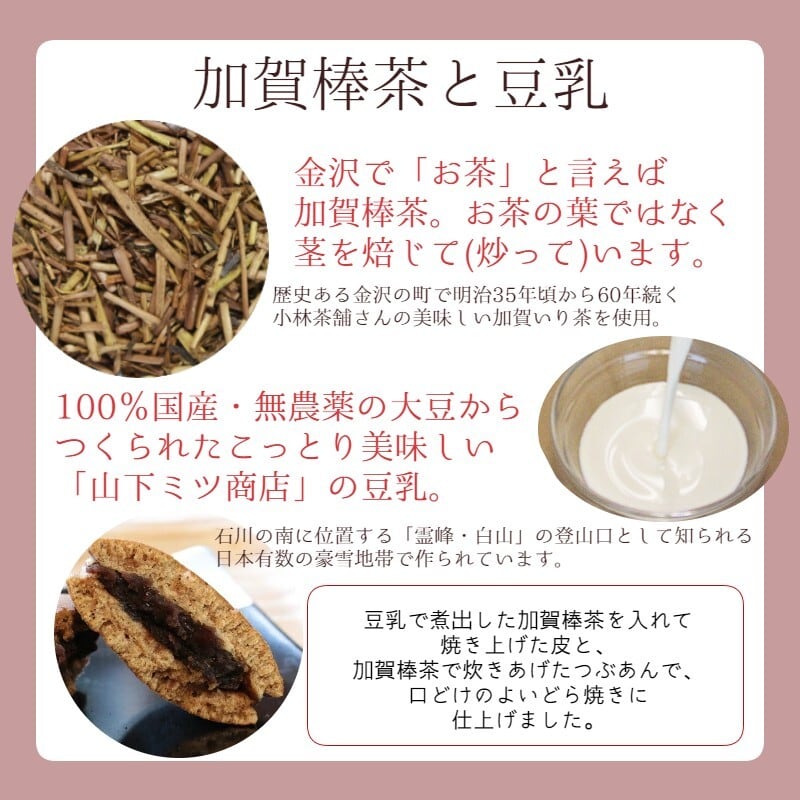 4/16 rarepalmseeds到着ナマクアナム 光堂 種子10粒 【公式通販】