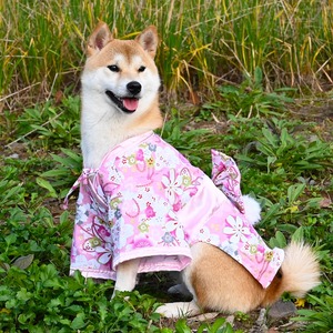 【PET】6色展開着心地のいいオシャレなお着物