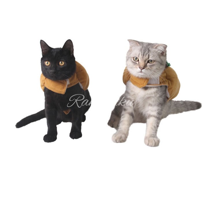 ハロウィン、短毛シュシュ(ブラック)わんちゃん猫ちゃん用 シュシュ 猫